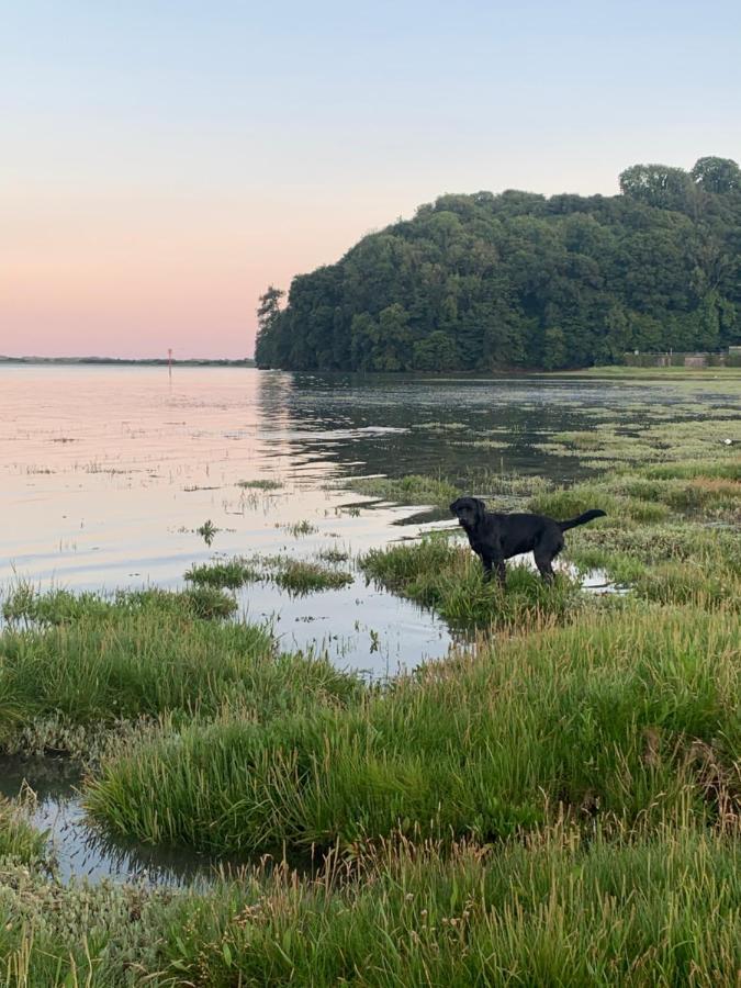 Dylan Thomas Sea View Bed & Breakfast Laugharne Eksteriør bilde